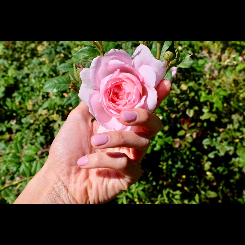 Meet your Posher, Maria